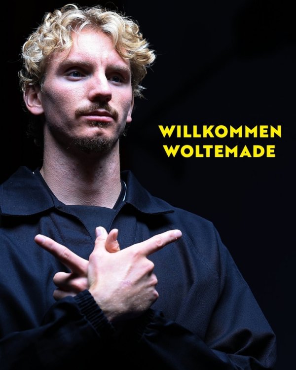 溢价2.4倍！纽卡补作业1.5亿签沃尔特马德+维萨，2人身价