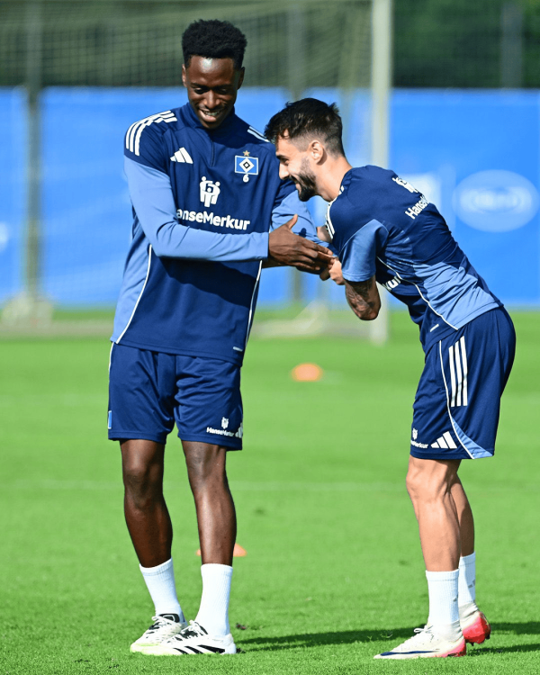 法比奥-维埃拉租借费50万欧, 但能降为0;买断2000万欧