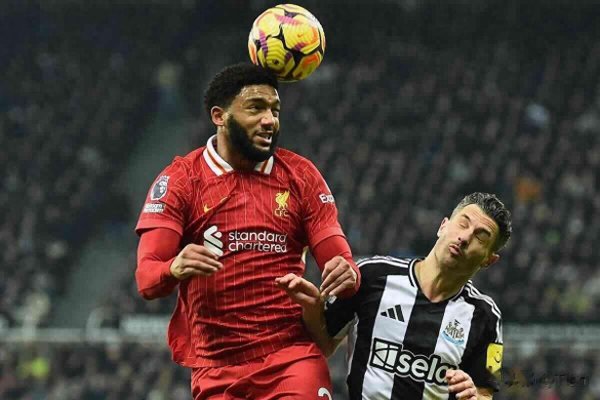 米兰锁定冬窗头号目标 体育总监塔雷全力攻坚乔·戈麦斯